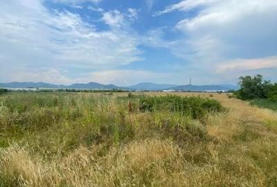 Teren de 8800 mp, în Vasile Alecsandri - 1