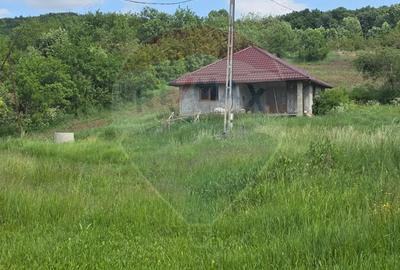 Casă cu Teren 4234 Mp în Deag - 8