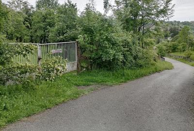 Teren de 4650 mp, în Lunca Mare - 2