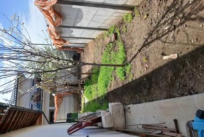 Casă cu 3 camere cu Teren 400 Mp în Domnești - 2