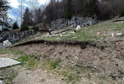 Teren de 6000 mp, în Dâmbovicioara - 3