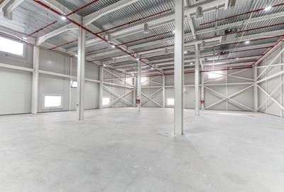 Spațiu industrial, de 7,500 mp, în Central - 1