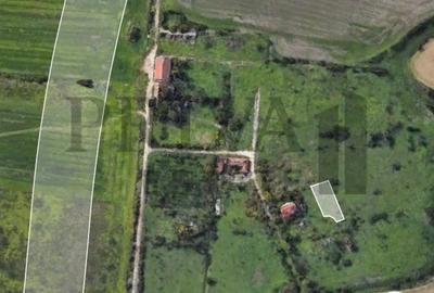 Teren de 750 mp, în Ronaț - 3