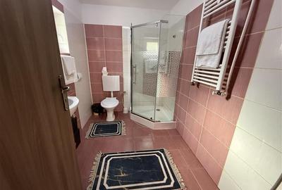 Spațiu comercial, de 1,300 mp, în Ghimeș-Făget - 29
