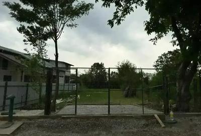 Teren de 1000 mp, în Dărmănești - 4