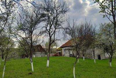 Casă cu 4 camere în Central - 5