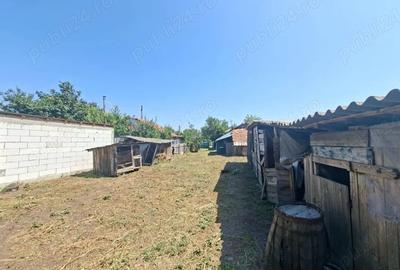 Casă cu Teren 1850 Mp în Colceag - 1