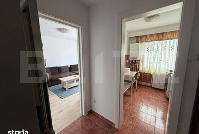 Apartament cu 2 camere semidecomandat în Cetate - 3