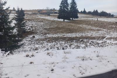 Teren agricol intravilan de 10900 mp, în Măguri-Răcătău - 3