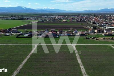 Teren de 447 mp, în Hălchiu - 3