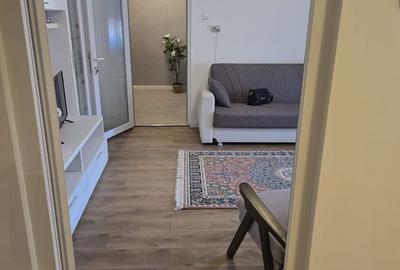 Apartament cu 2 camere în Burdea