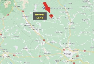 Teren agricol extravilan de 270000 mp, în Bertea - 2