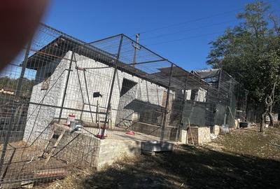 Casă cu 4 camere în Albota