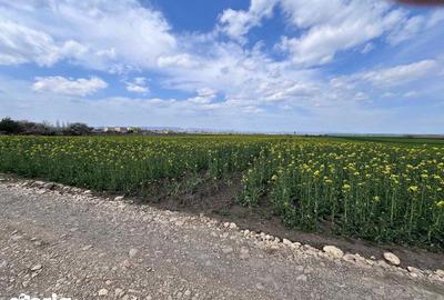 Teren de 3700 mp, în Călărași - 8
