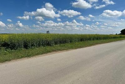 Teren agricol extravilan de 17000 mp, în Moara Vlăsiei - 5