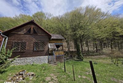 Casă cu 4 camere în Ighiel - 12