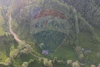 Teren agricol extravilan de 38704 mp, în Șirnea - 13