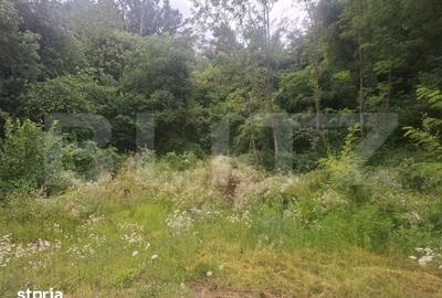 Teren de 1700 mp, în Urleta