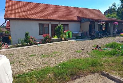 Casă cu 2 camere în Tritenii de Jos - 6