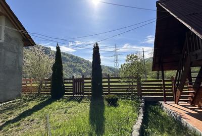 Casă cu 8 camere cu Teren 770 Mp în Lotrioara - 2