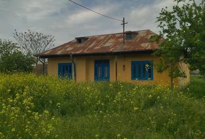 Casă cu 3 camere cu Teren 743 Mp în Plopul