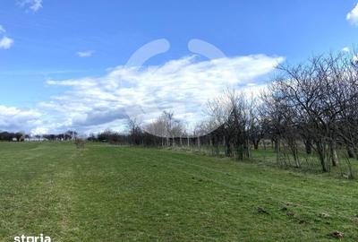 Teren de 3494 mp, în Rășinari - 2