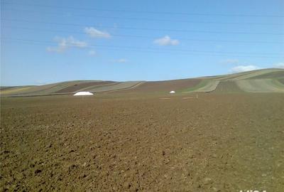 Teren de 3935 mp, în Nazna - 8
