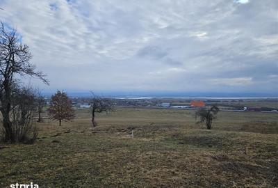 Teren de 5000 mp, în Central