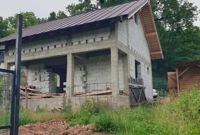Casă cu 3 camere cu Teren 3500 Mp în Pietroșița - 1