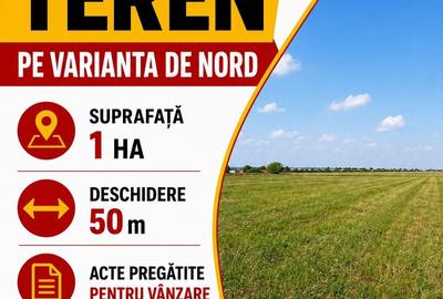 Teren de 10000 mp, în Nord