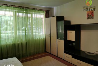 Apartament cu 2 camere semidecomandat în Aleea Carpați - 5