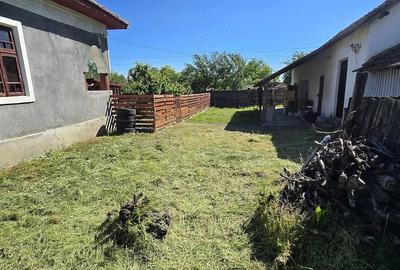 Casă cu Teren 2350 Mp în Jiana - 4