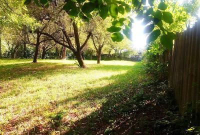 Teren de 783 mp, în Central