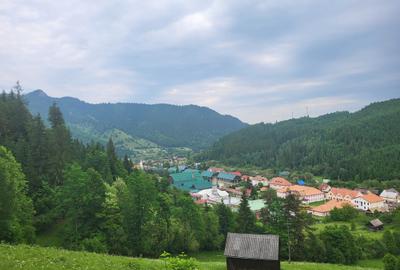 Teren de 13879 mp, în Tulgheș - 8