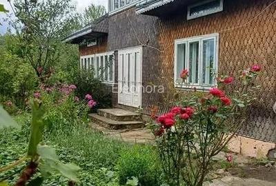 Casă cu Teren 6000 Mp în Mălini