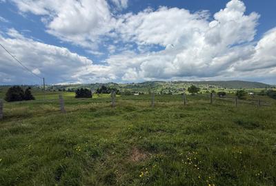 Teren agricol de 13600 mp, în Mărișel - 2