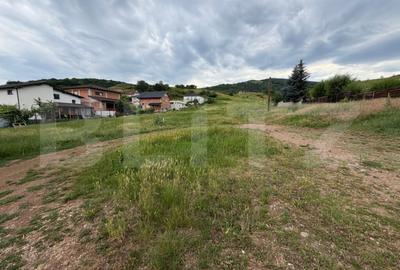 Teren de 3624 mp, în Central
