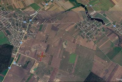 Teren de 4995 mp, în Dascălu - 3