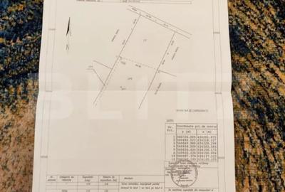 Teren de 4990 mp, în Valea Doftanei - 1