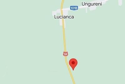 Teren extravilan de 10000 mp, în Lucianca - 1