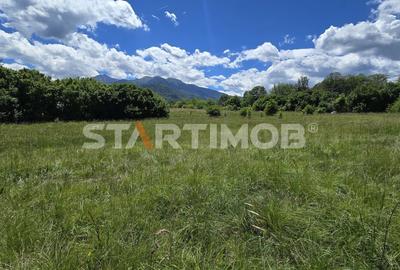 Teren Construcții extravilan de 5000 mp, în Glăjărie - 4