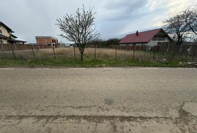 Teren de 1000 mp, în Miroslava - 3