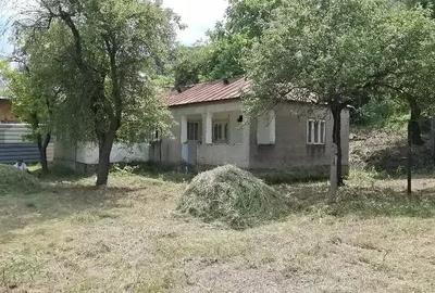 Casă cu 4 camere cu Teren 5574 Mp în Vulcăneasa
