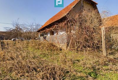 Casă cu 2 camere cu Teren 2334 Mp în Tauț - 10