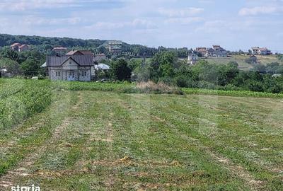 Teren de 3600 mp, în Curtești - 2