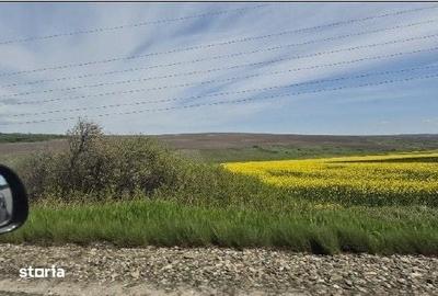 Teren de 15900 mp, în Probota
