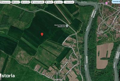 Teren de 6000 mp, în Golăiești