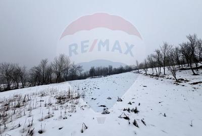Casă cu 2 camere cu Teren 4887 Mp în Dăbâca - 6
