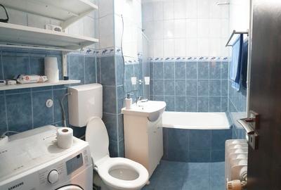 Garsonieră decomandată, mobilată în Brazda lui Novac - 5