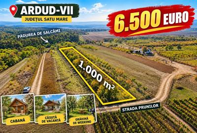Teren Construcții intravilan de 1000 mp, în Sud